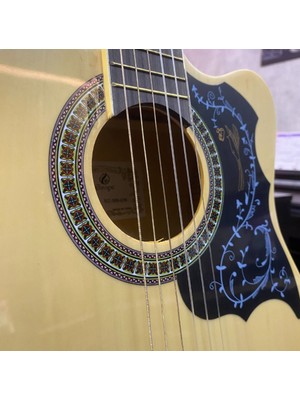 Grape 4/4 Klasik Gitar EC-309YN