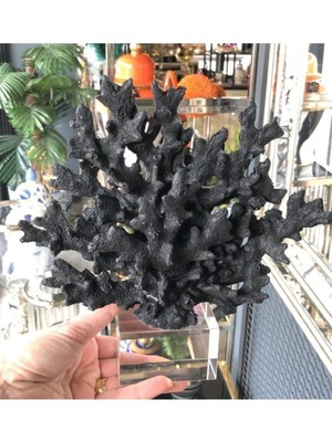 Şık Siyah Polyester Mercan Dekor, Ev ve Ofis Şıklığına Uygun