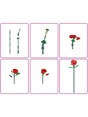 5UC00000 Max Gül Sürprizi 247 Parça