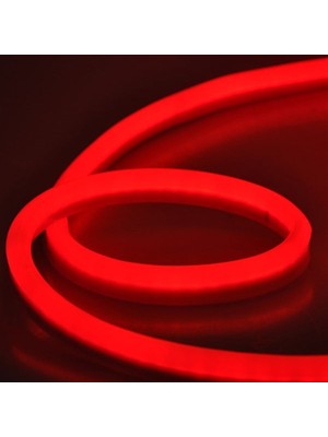 CT-4455 12 V Neon LED ( Kumanda Modülü ve Trafo Hariç )