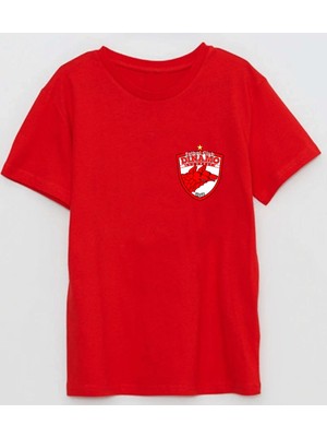 Dinamo București 1948 Kulüp Küçük Logo Baskılı Pamuklu Tshirt