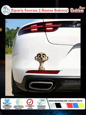 Sevimli Mongoose Karikatür Sticker – Araç & Yüzey Vinil Etiket (15X22 Cm)