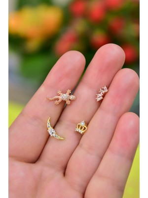 925 Ayar Papatya Silver Çelik Tragus Küpe.rose.gold.rodaj