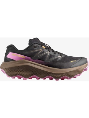Salomon Ultra Flow 2 Gore-Tex Kadın Koşu Ayakkabısı Black L47884400