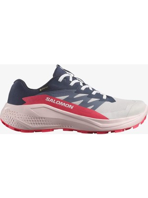 Salomon Alphaglıde Gore-Tex Kadın Koşu Ayakkabısı Lunar Rock L47802300