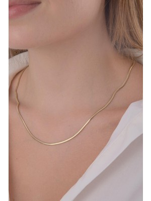 Fiyonk Kuyumculuk 14 Ayar Altın İtalyan Balık Sırtı Zincir 2,50 mm