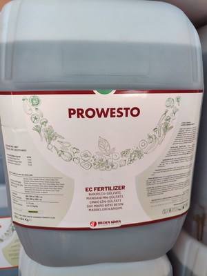 Prowesto