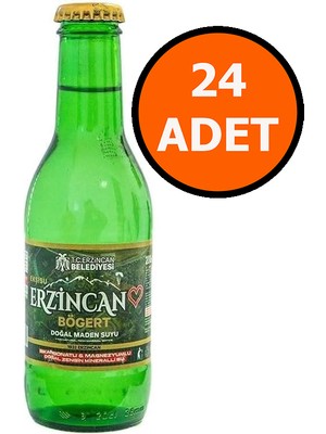 Ekşisu Erzincan Bögert Doğal Maden Suyu 200 ml x 24 Şişe Magnezyum Zengini Ferahlatıcı Lezzet