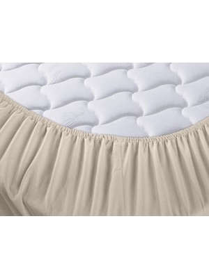 Menderes Home Cotton Collection Ranforce Çift Kişilik Fitted Düzboya Bej