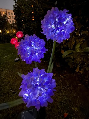 Güneş Enerjili 3 Kafalı Ortanca Dış Mekan Dekoratif LED Işık Solar Hydrangea Light