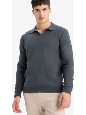 DeFacto Standart Fit Polo Yaka Triko Kazak D4046AX25WN