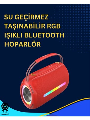 Astraltech Usb/sd/aux Girişli Hoparlör - 10 W × 2 Çift Sürücü