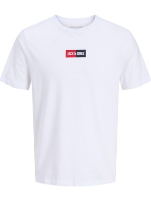 Jack&jones 12278509 Jjpan Tee Ss Crew Kısa Kol Erkek Tshırt