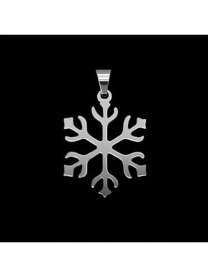 TabiTela 925 Ayar gümüş kolye kar tanesi   SM8096