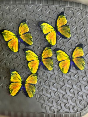 6x6 cm 5 Adet Kelebek Set Arma Dikiş Aplike