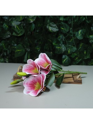 Gerçek Dokulu Manolya 3 Dal Tomurcuklu Pembe Damarlı Islak Manolya Demeti 43 cm