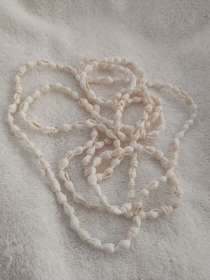 Doğal Deniz Kabuğu Dizi Boncuk – 1 Dizi (160 Adet – 140 Cm) | Takı ve Dekorasyon Için