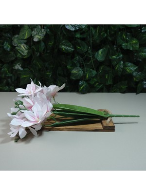 Gerçek Dokulu Yıldız Manolya 5 Dal 47 cm Pembe Damarlı Islak Manolya Demeti