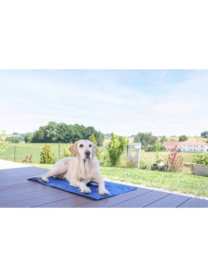 Soğutucu Köpek Mati 90 x 50 cm