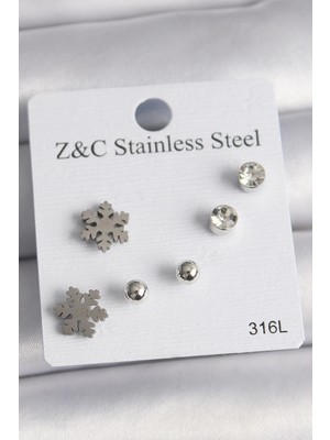 Bfs 316L Çelik Gümüş Renk Zirkon Taşlı Kar Tanesi Model Kadın Küpe Seti