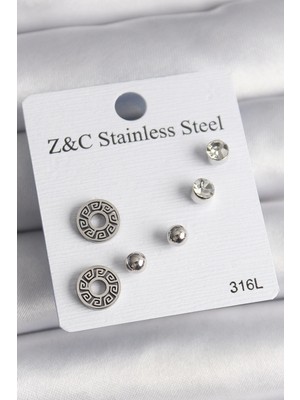 Bfs 316L Çelik Gümüş Renk Zirkon Taşlı Labirent Model Kadın Küpe Seti