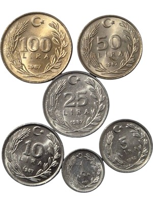 Koleksiyon 1981-1987 Dönemi Çil Madeni Set