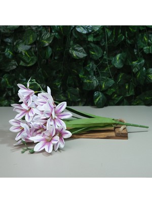 Gerçek Dokulu Yıldız Manolya 5 Dal 47 cm Lila Damarlı Islak Manolya Demeti