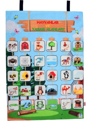 Cırtlı Pano: Hayvanlar ve Yaşam Alanları Için Renkli ve Eğlenceli Tasarım