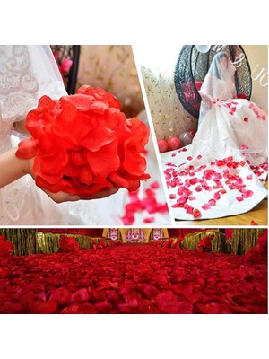 Skygo Kırmızı Renk Gül Yaprağı Şekilli Konfeti – 5 Paket 500 Adet