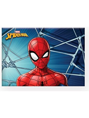 Çıtçıtlı Çok Bölmeli Şeffaf Dosya, Pratik ve Şık Evrak Düzenleyici