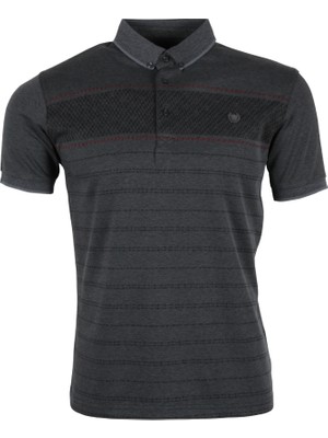 Erkek Tişört Polo Yaka Normal Kesim Desenli RAR01322