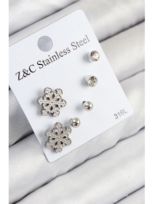 Clariss 316l Çelik Zirkon Taşlı Kar Tanesi Model Gümüş Renk Kadın Set Küpe