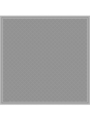 Armine Ipek Eşarp 2026 Kış - 9440-57 Gümüş Sura