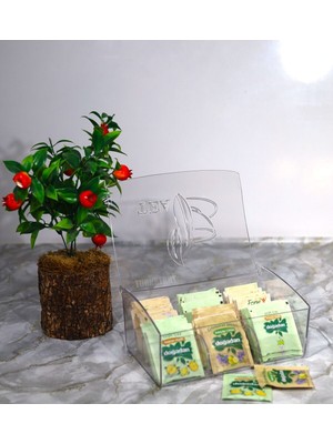 6 Bölmeli Kapaklı Çay ve Takı Organizer - Pratik ve Şık Düzenleyici