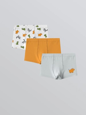 Lcw  Baskılı Penye Erkek Çocuk Boxer 3'lü  (W5)