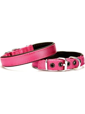 Softlu Köpek Boyun Tasması 1,5 cm x 35 cm Mor