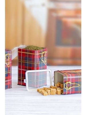 EVLE EF043-I3 Metal Dikdörtgen Kutu, 75x100x150 mm, Şeffaf Kapak , 1.2 lt