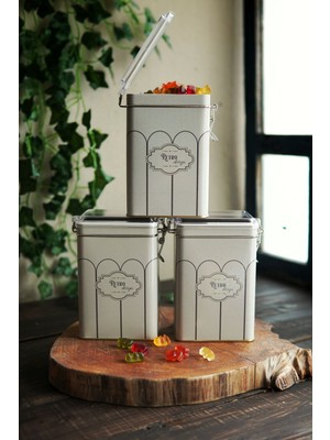 Evle Dikdörtgen Kilitli Saklama Kabı 75x100x150 3 lü Set, Retro