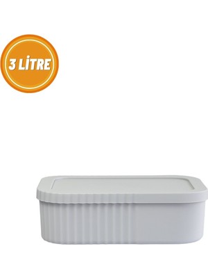 3 Litre Kapaklı Mini Organizer Kutu