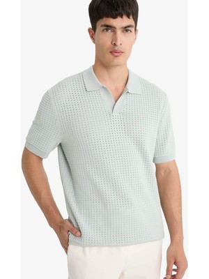 DeFacto Standart Fit Polo Yaka Triko Kısa Kollu Tişört E3306AX25SM