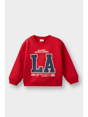 DeFacto Erkek Bebek Bisiklet Yaka Baskılı İçi Yumuşak Tüylü Sweatshirt E9238A525AU