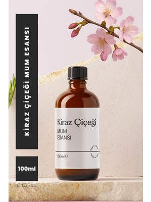 Japon Kiraz Çiçeği Mum Esansı 100 Ml, Yüksek Kalite Mum Esansı, Mum Koku Esansı, Soya Wax Esansı