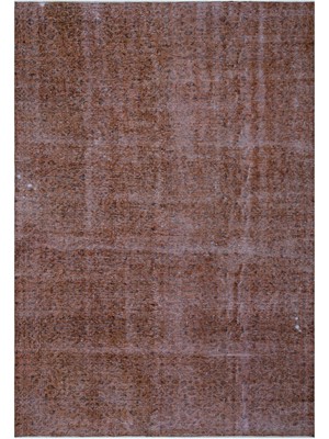 Vintage Bej Çerçeveli Yün Modern Desenli Yün Hav Toz Vermez Leke Tutmayan Salon Yolluk Mutfak El Dokuma Halı