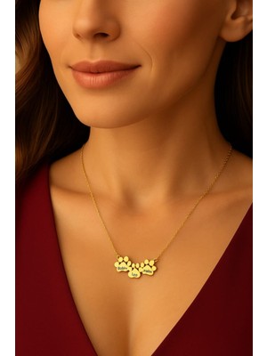 925 Ayar Gümüş Üçlü Patili Isimli Kolye