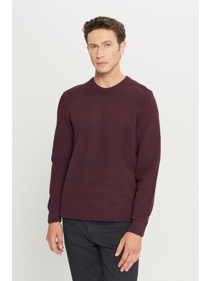 Altınyıldız Classics Erkek Bordo-lacivert Standart Fit Normal Kesim Bisiklet Yaka Desenli Triko Kazak