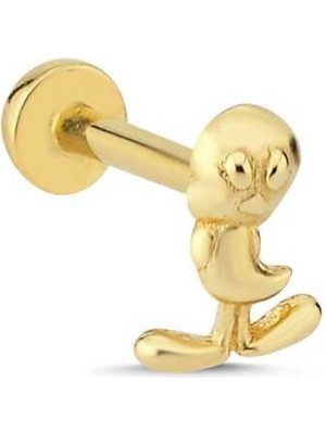 Tweety Tragus Piercing