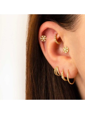Daisy Bia Tragus