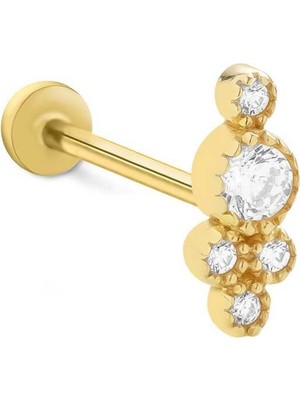 Elegant Tragus