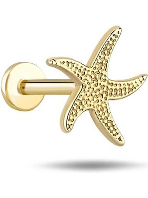 Deniz Yıldızı Tragus Piercing