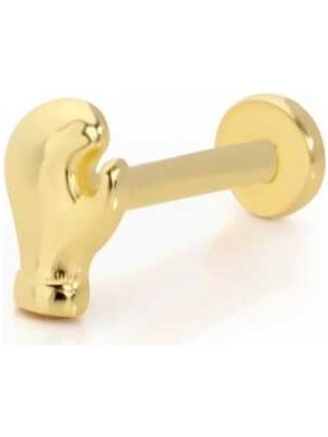 Boks Eldiveni Model Tragus Piercing